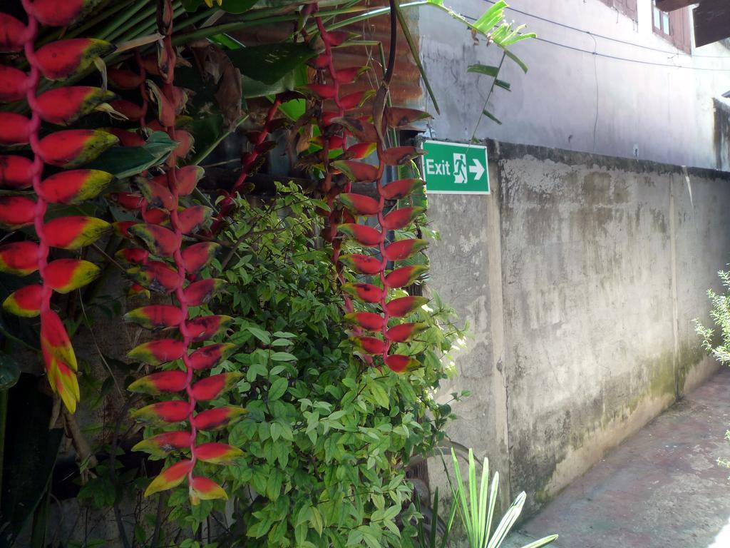 Noom Guesthouse Lop Buri Exteriér fotografie